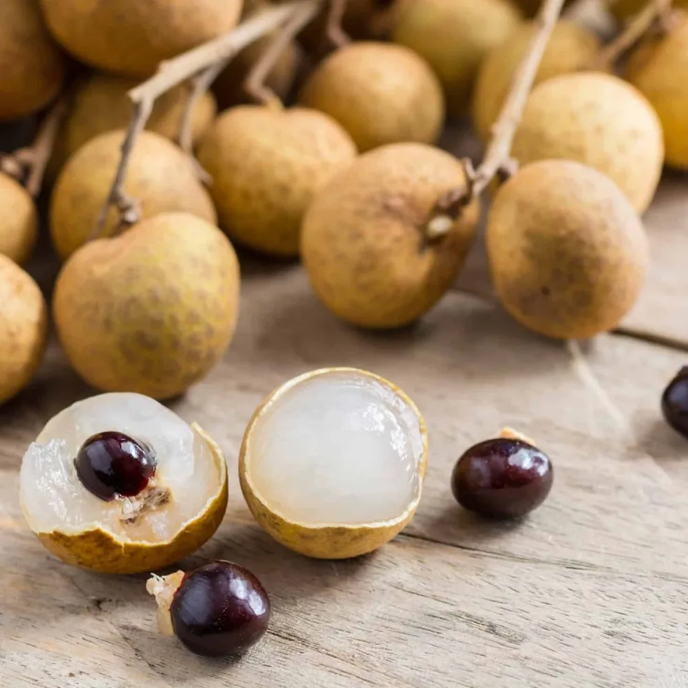 Thai Longan Plant – Premium Sweet Longan Tree for Home Gardens | Grow Delicious and Fragrant Tropical Fruit - Image 2