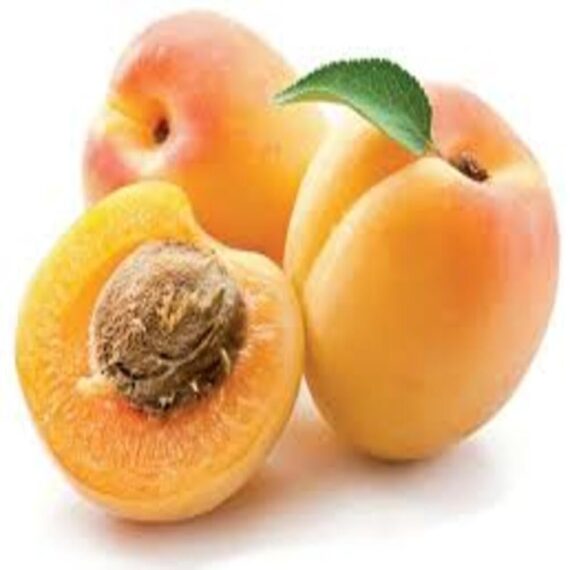 Puspita Nursery Apricot Fruit Plant