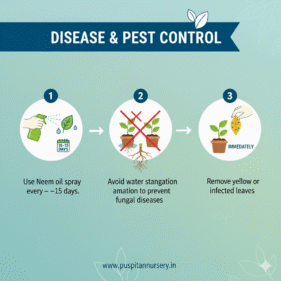Beet root .Disease & Pest Control