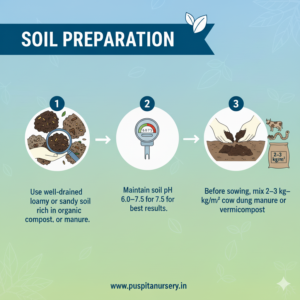 Butta Soil Preparation
