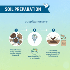 .Soil Preparation