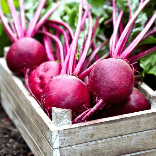 beet root