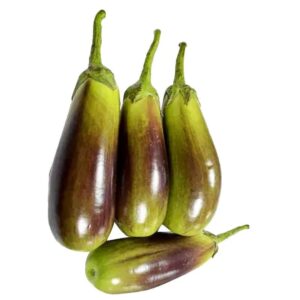 bhangar brinjal