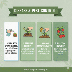 blac kumra Disease & Pest Control