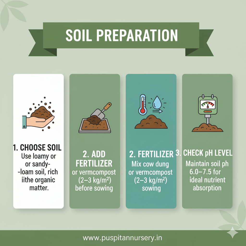 black kumra Soil Preparation