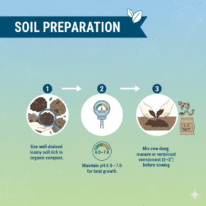 soil preparation