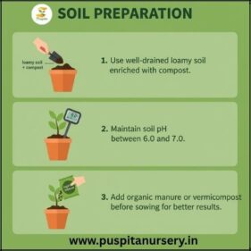 Antirrhinum Mixed Soil Preparation
