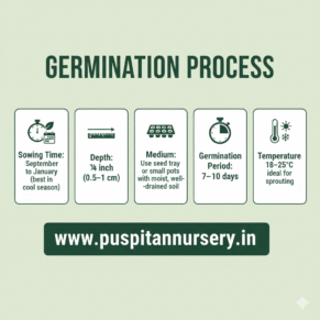 Dianthus mixed Germination Process
