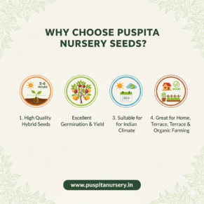 Why Choose Puspita Nursery Seeds