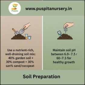 aprajita bouble Soil Preparation