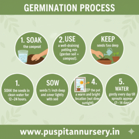 aprajita double Germination Process