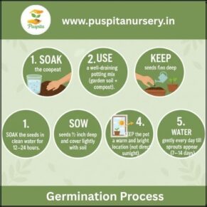 aprajita double Germination Process