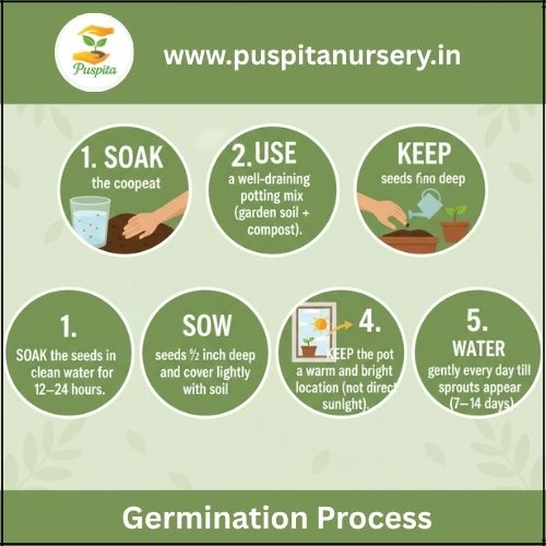 aprajita double Germination Process