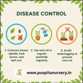 chili Disease Control