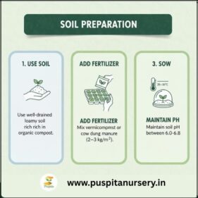 choccolate capsicum Soil Preparation