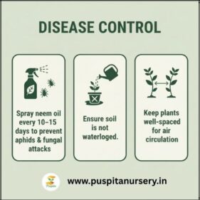 diathus mixed Disease Control