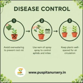 gold inca Disease Control