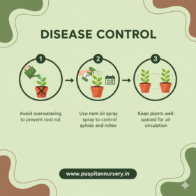 gold inca Disease Control