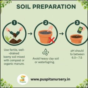 gold incaa Soil Preparation