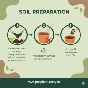 gold incaa Soil Preparation