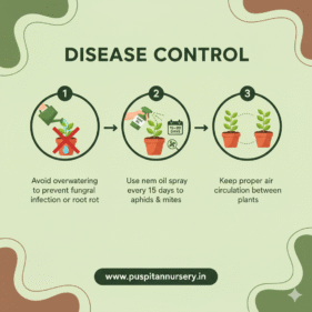 orange inca Disease Control