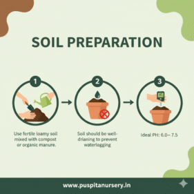 orange inca Soil Preparation