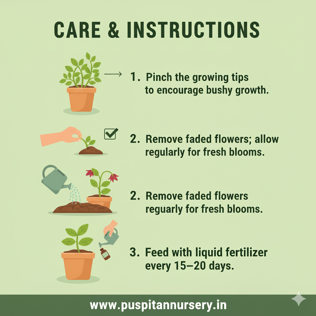 vinca f1 Care & Instruction