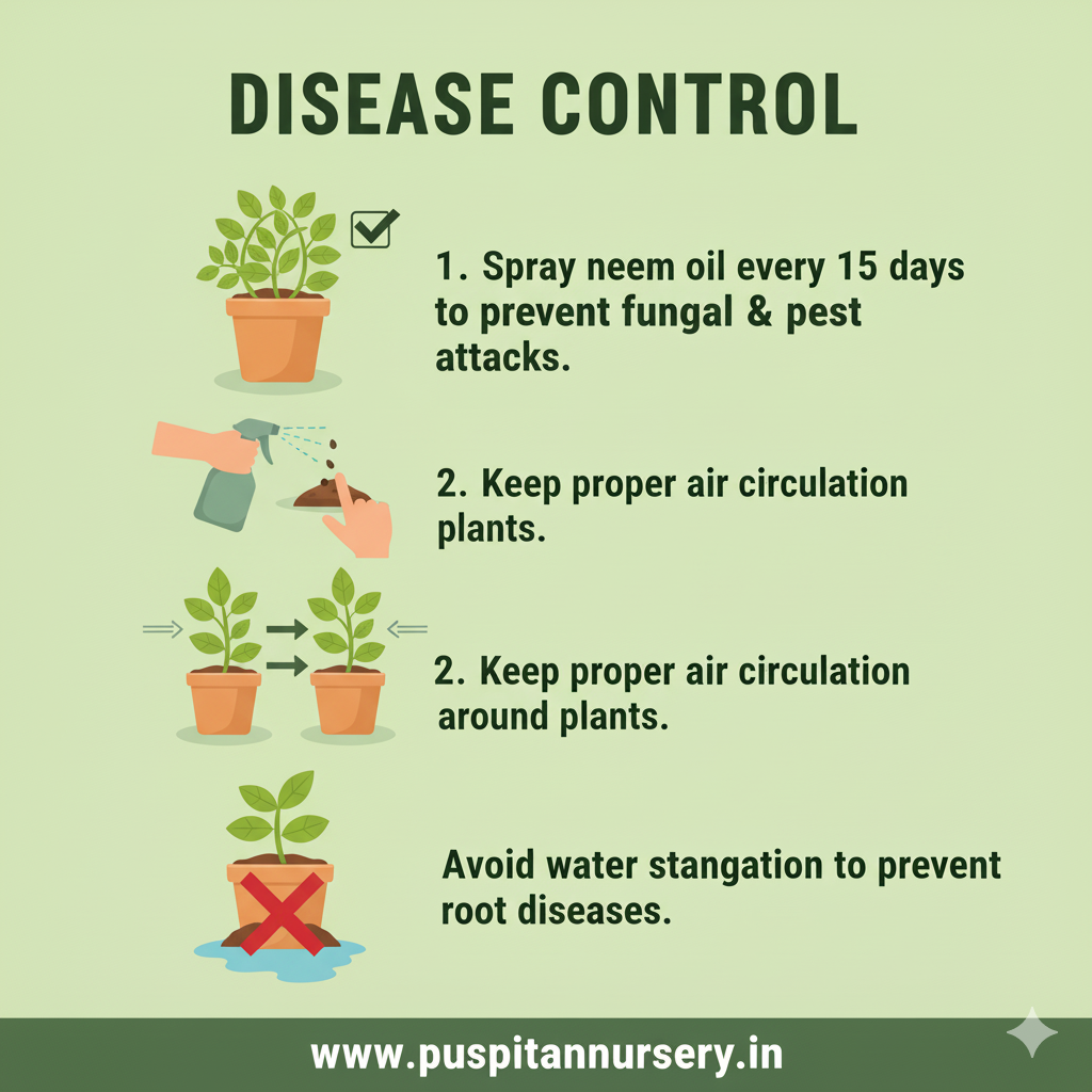 vinca f1 Disease Control