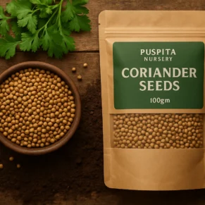 Coriander
