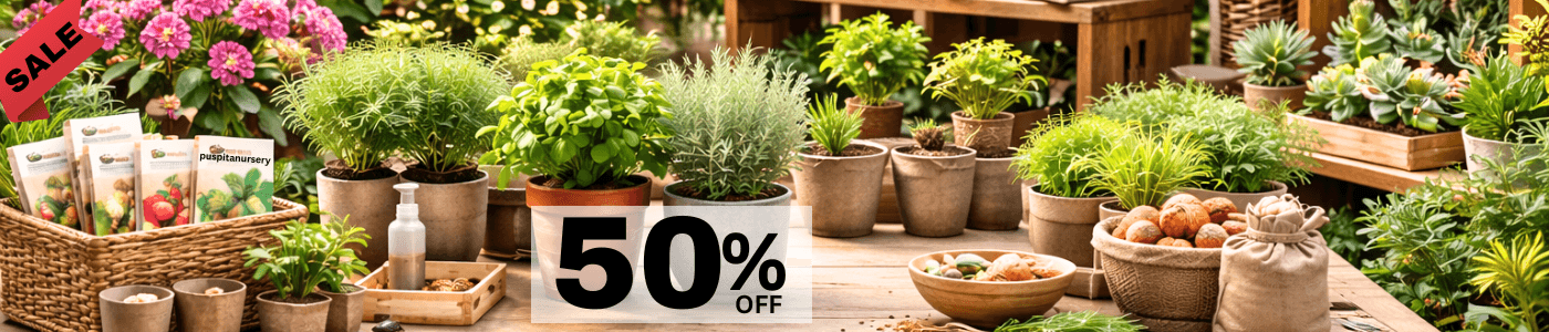 Puspita nursery Home page hero image